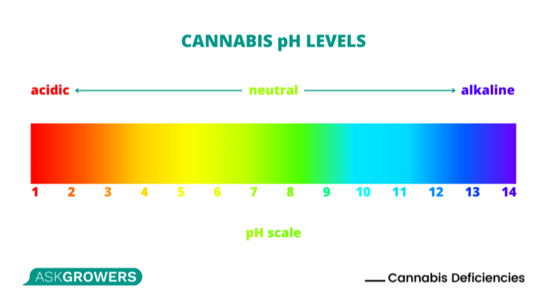 Cannabis Deficiencies